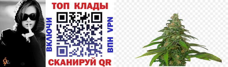 Где купить Темников Гашиш  Конопля  Alpha PVP  МЕФ 