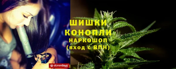 соль ск Новодвинск