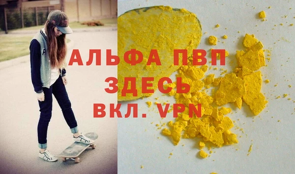 прущие грибы Алагир