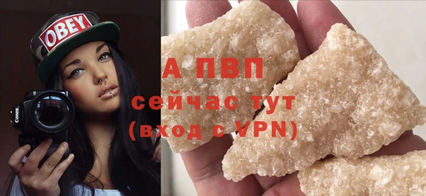 соль ск Новодвинск