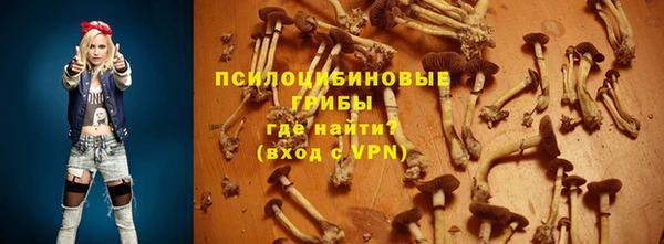 прущие крисы Новокубанск