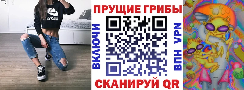Псилоцибиновые грибы прущие грибы  сколько стоит  Темников 
